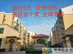 首付3萬，新區安個家