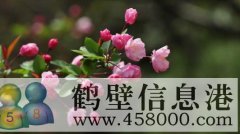 黎陽路半坡店社區整套出租